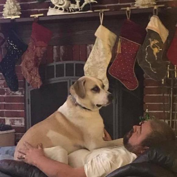 Meet your Posher, James - Picture 1 of 1